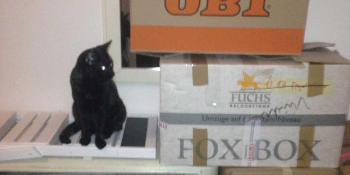 Heidi List siedelt mit Katze