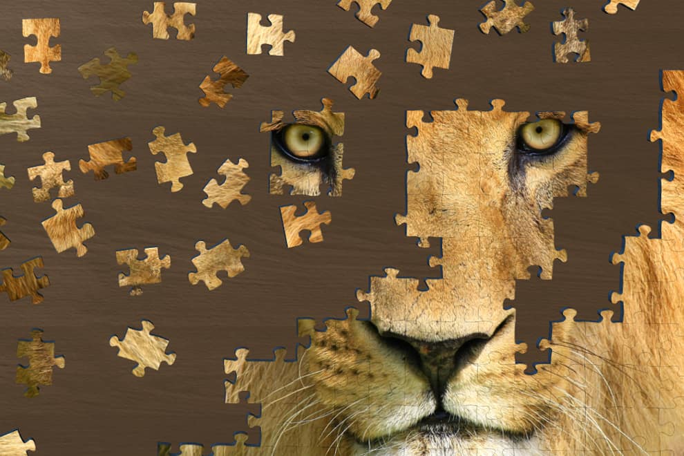 Gaming Witzige RavensburgerPuzzleApp für Entspannung zwischendurch