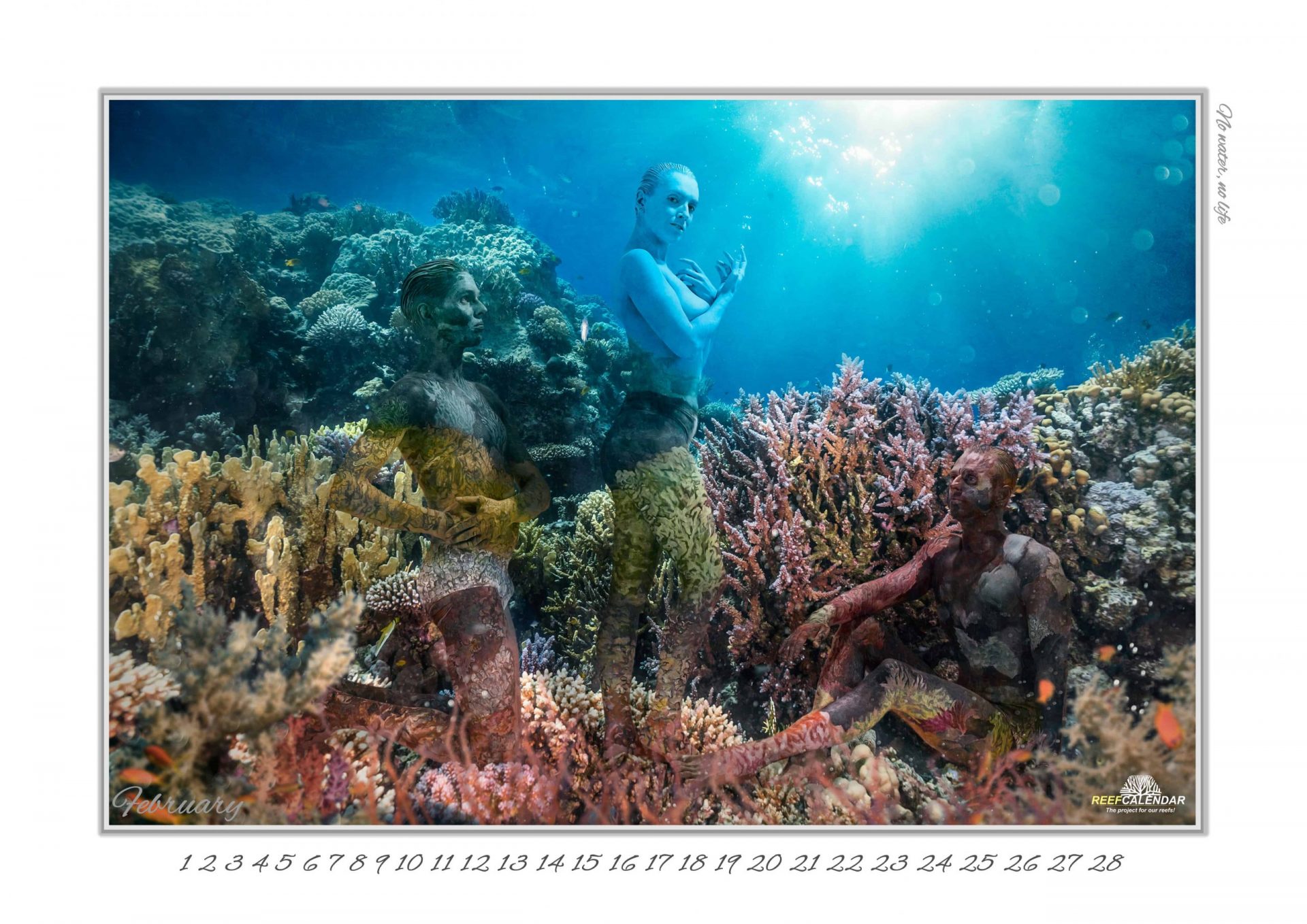 Reefcalendar: Bildgewalt gegen Gewalt