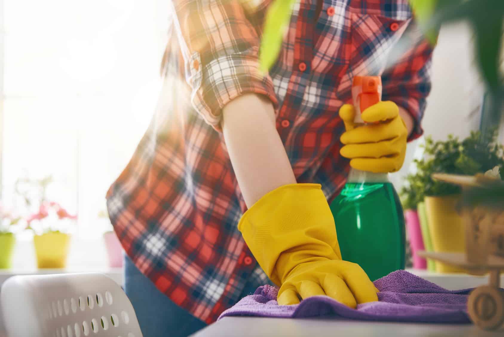 Frühjahrputz: Wenn die Wiener wienern