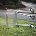 Verlassener Einkaufswagen auf Gras