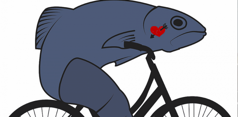 eine frau braucht einen mann wie ein fisch ein fahrrad