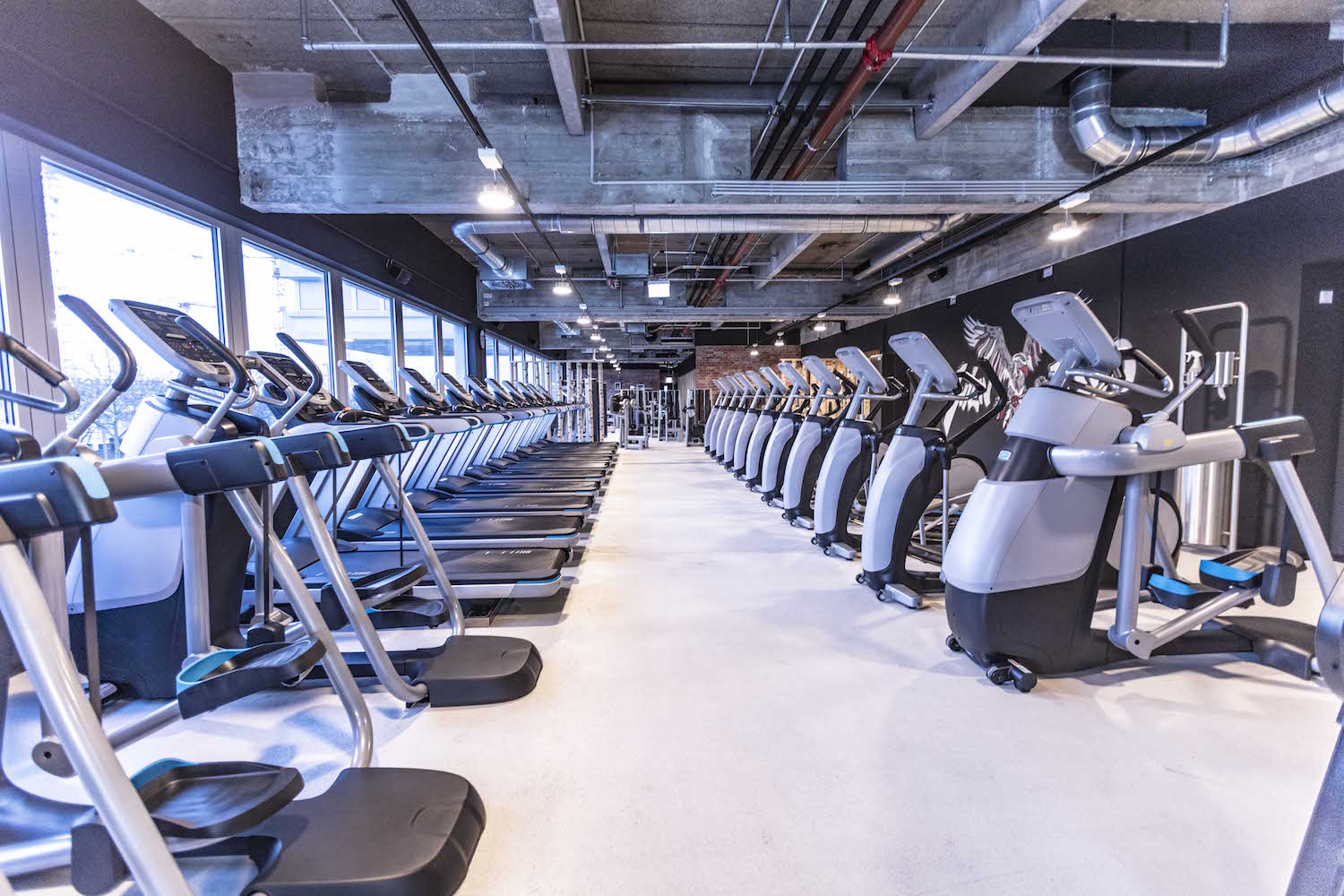Pumpen bis der Morgen kommt Das modernste McFIT Studio Europas