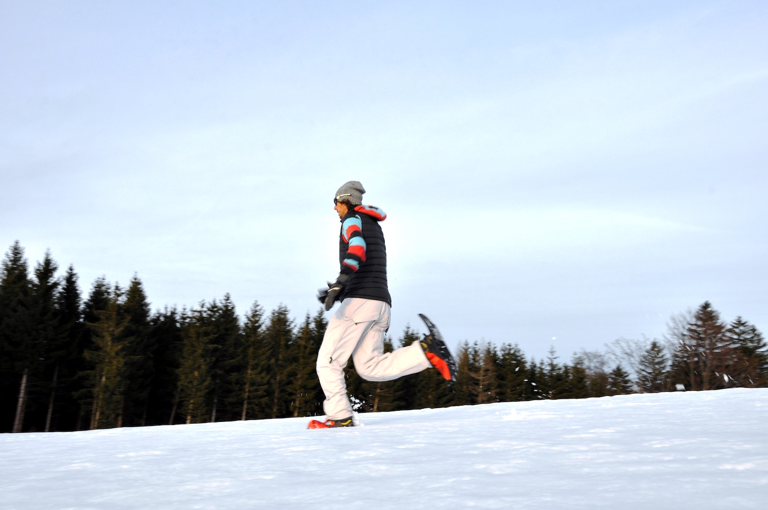 Snowrunner