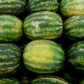 Stapel Wassermelonen (augenzwinkerndes Symbolmotiv wie das Original)