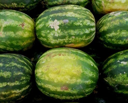 Stapel Wassermelonen (augenzwinkerndes Symbolmotiv wie das Original)