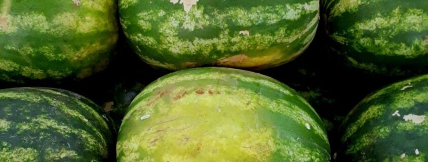 Stapel Wassermelonen (augenzwinkerndes Symbolmotiv wie das Original)