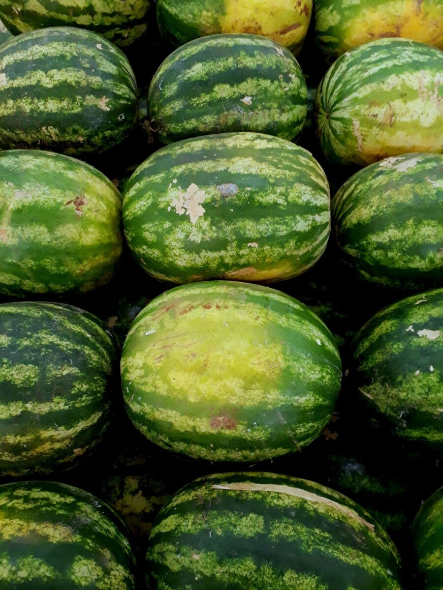 Stapel Wassermelonen (augenzwinkerndes Symbolmotiv wie das Original)