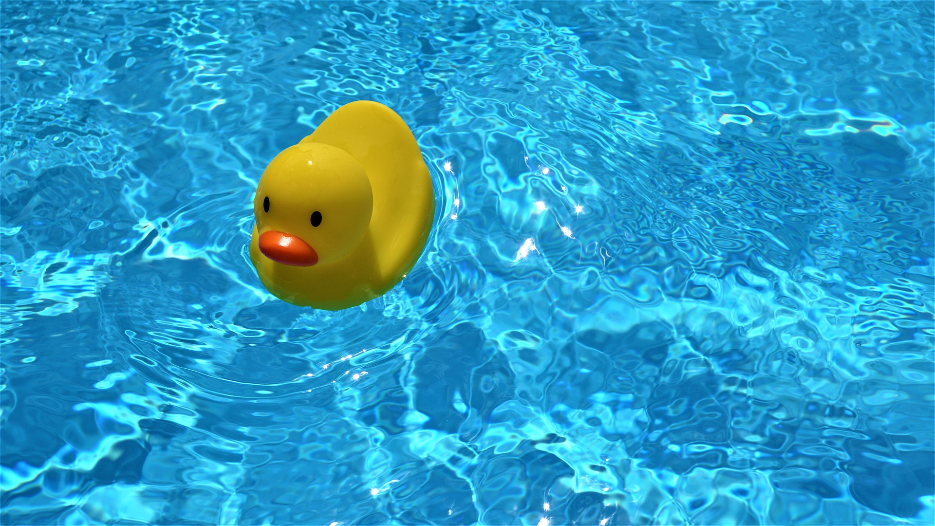 Jetzt ist Sommer!