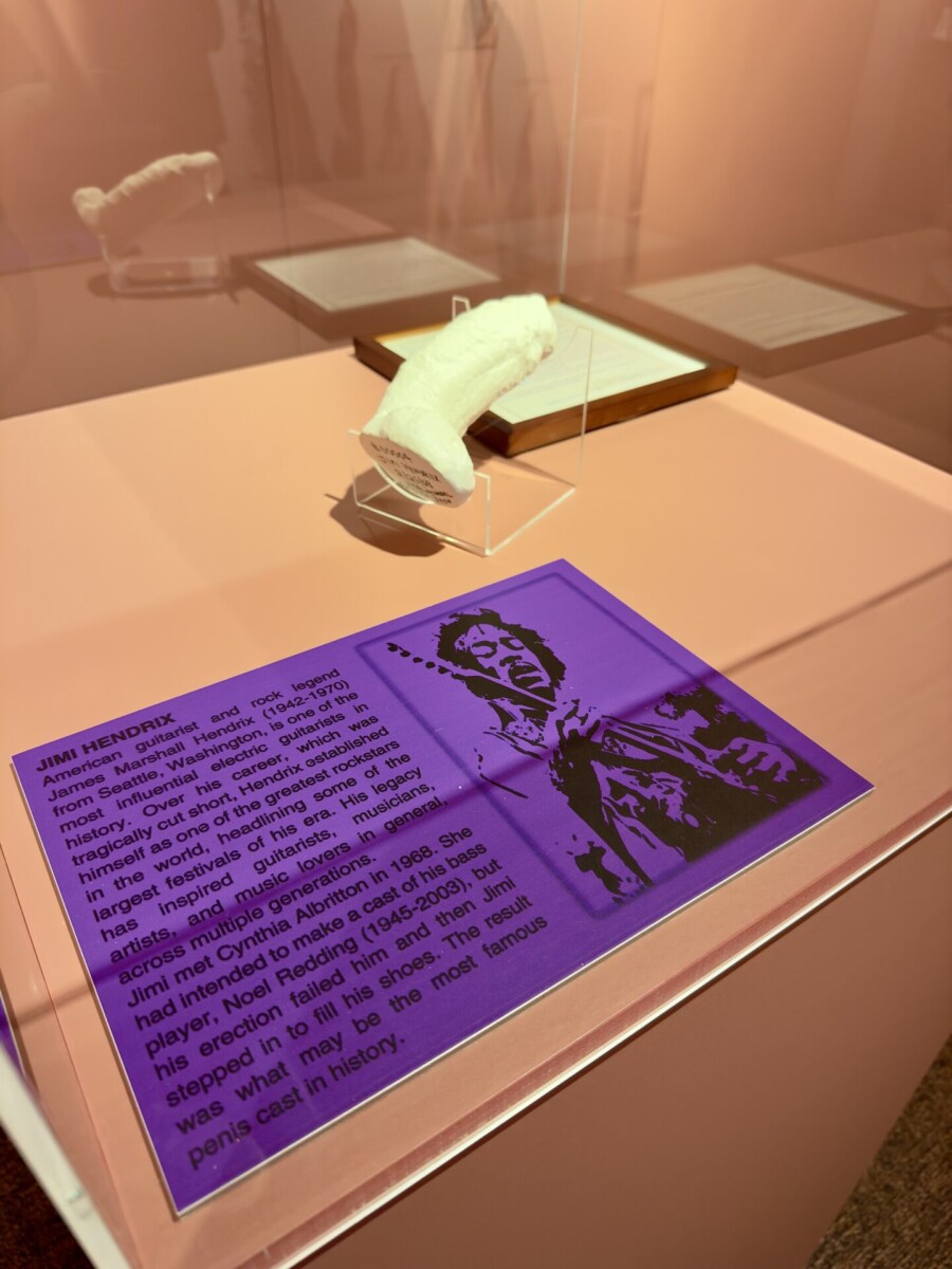 Gipsabdruck von Jimi Hendrix (das 'Ding' des Artikels), Phallological Museum