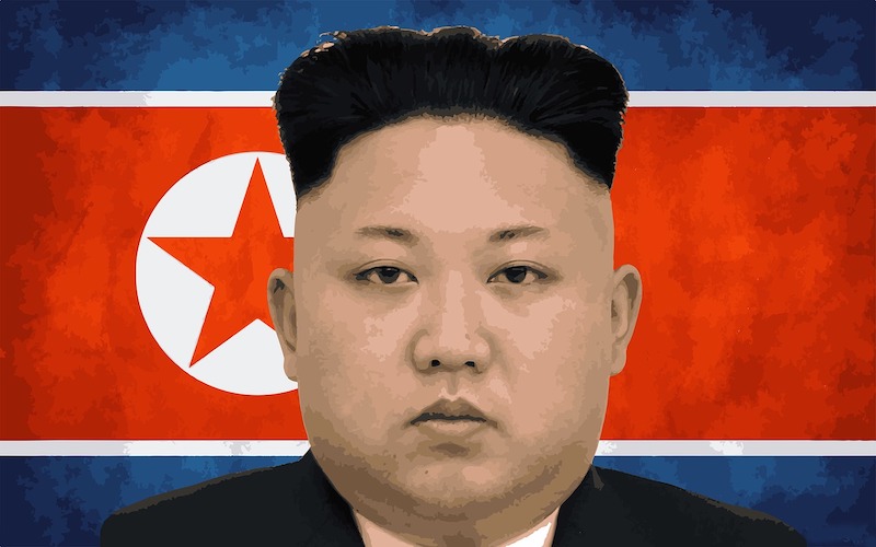 Kim Jong-un, Putin und der Schimmel