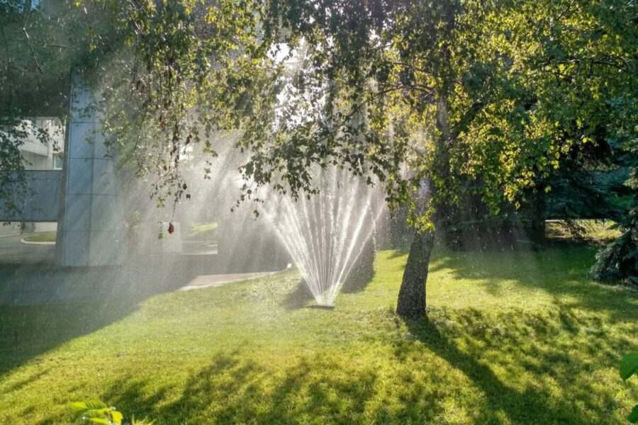 Wenn der Rasen um Wasser bettelt