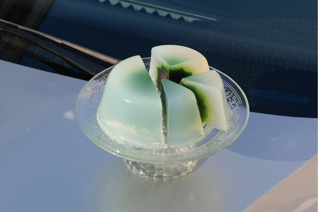 Popchop veranstaltet die Vienna Future Food Week in Wien