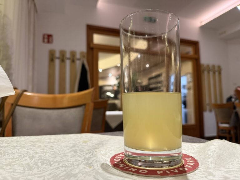 Götz Schrage: Wien, du verlorenes Riesendorf