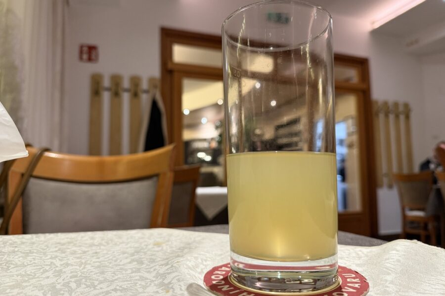 Götz Schrage: Wien, du verlorenes Riesendorf