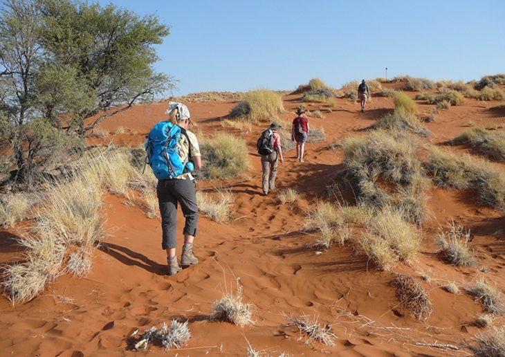 Namib-Wüste in Namibia, Singlereise von Wikinger Reisen