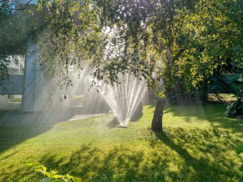 Rasensprenger Österreich: Sonnenbeschienener Rasensprenger bewässert grünen Rasen