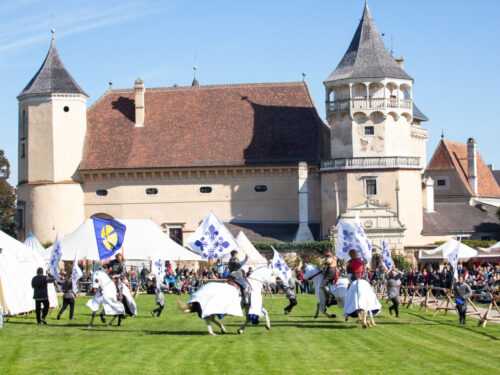 Ritter zu Pferd beim Ritterturnier Rosenburg vor der historischen Burgkulisse